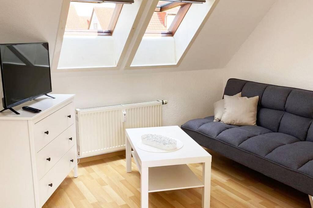 Apartment Mit Dachterrasse Nahe Zwickau Глаухау Екстер'єр фото